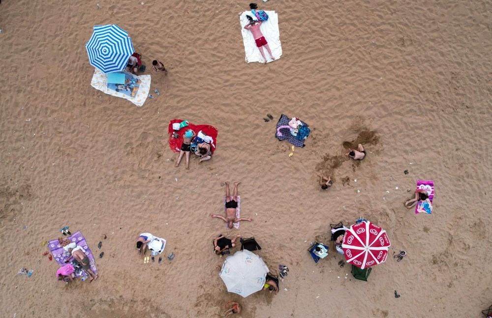 Yer: İstanbul! Sıcaktan bunalan inekler plaja indi - 4
