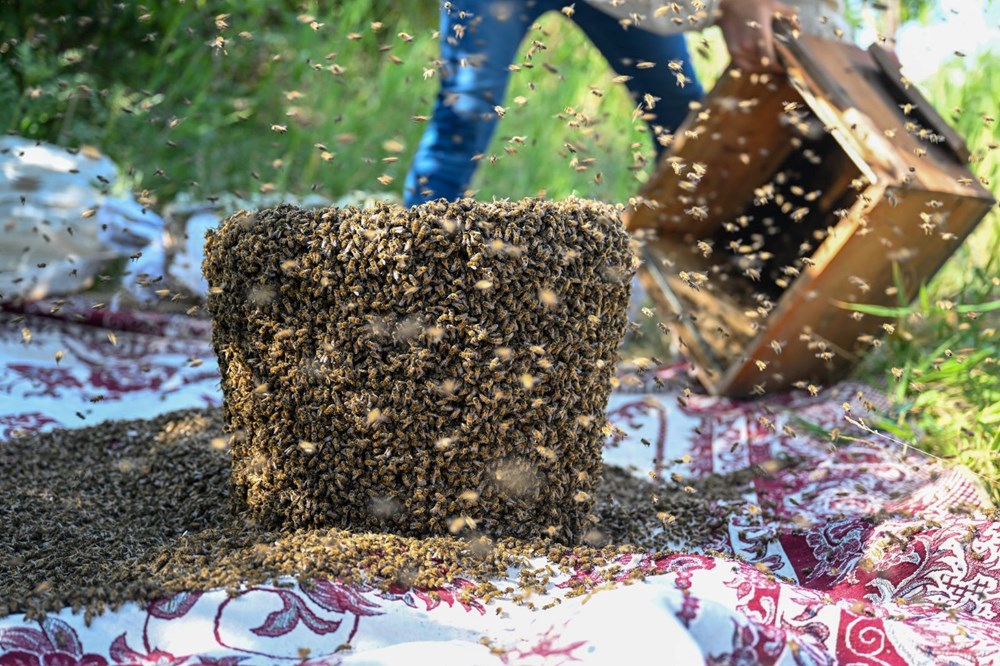 "Arı Adam"ın Guinness Rekorlar Kitabı hayaline ramak kaldı - 23