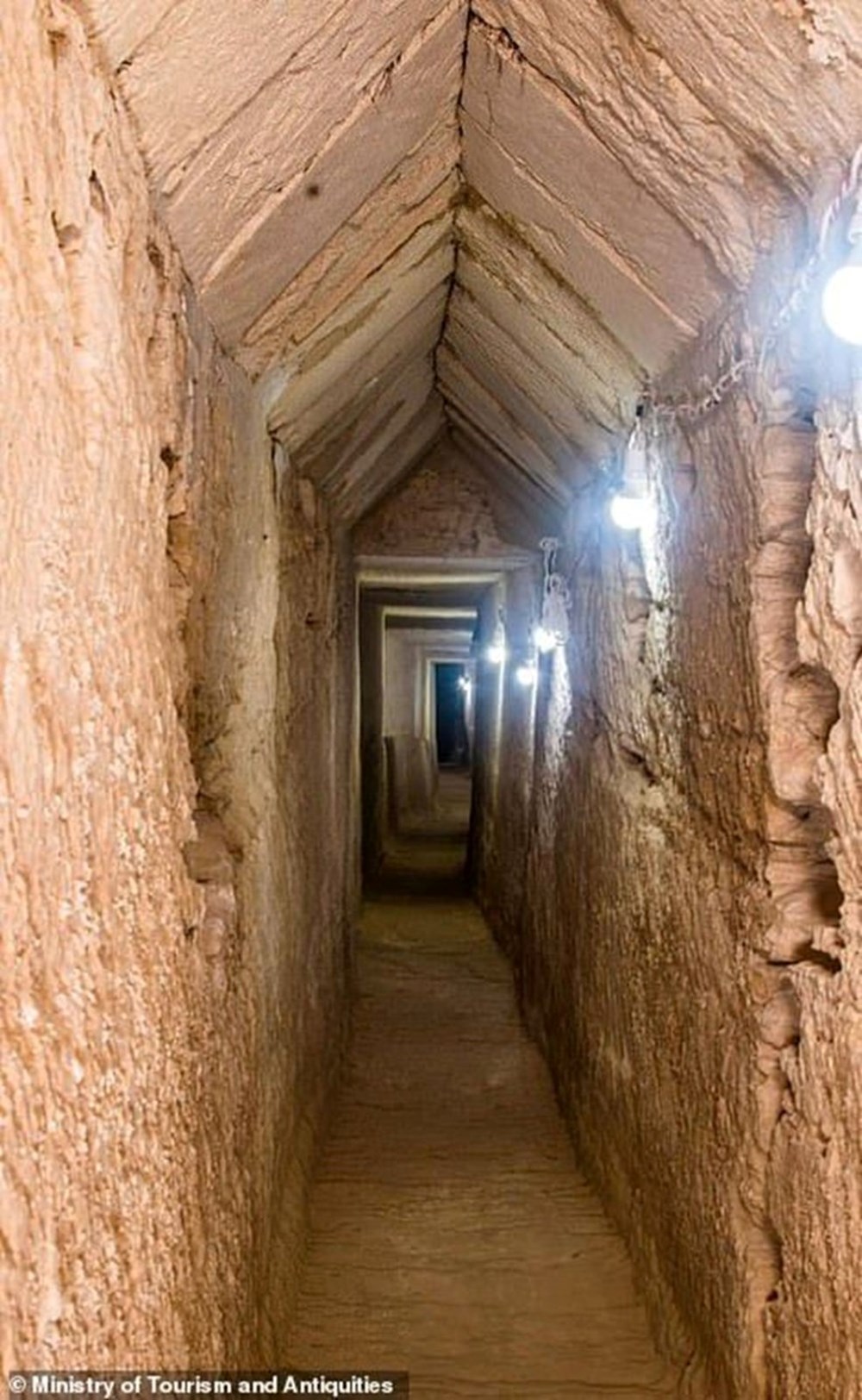 2022'nin en olağanüstü keşifleri - 2