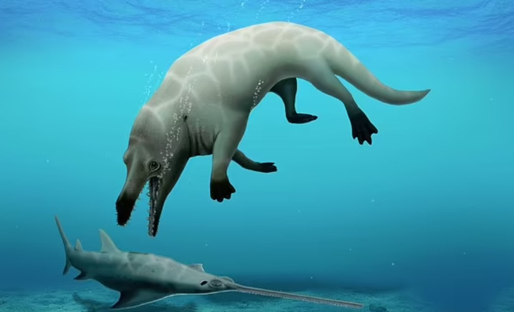 Sahile vuran devasa el iskeleti paniğe yol açtı: Uzaylılara mı ait? - 4