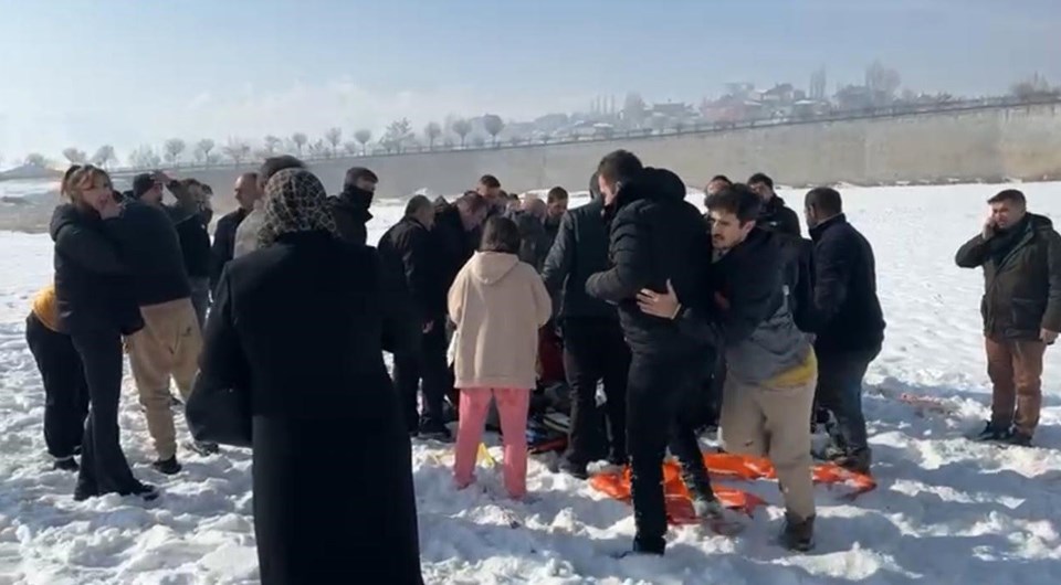 Sahipsiz köpekler 12 yaşındaki kızın boğazını parçaladı: Yaşam mücadelesini kaybetti - 1