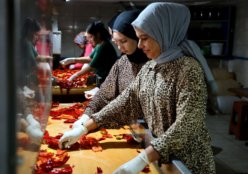 Adana'da salça sezonu başladı: Çatılar kırmızıya boyandı - 5