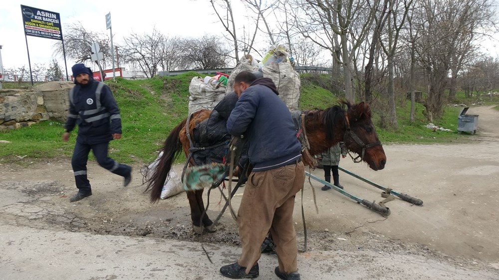 Edirne'de tepki çeken görüntü: Aşırı yükten yere yığılan ata göz göre göre işkence - 7