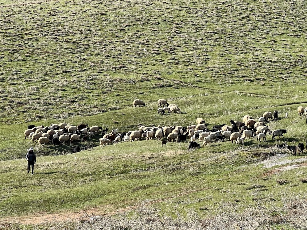 OgPR19qVCU2MH3TK7jga1w