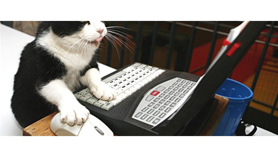 �Kedi beyinli� süper bilgisayar NTV