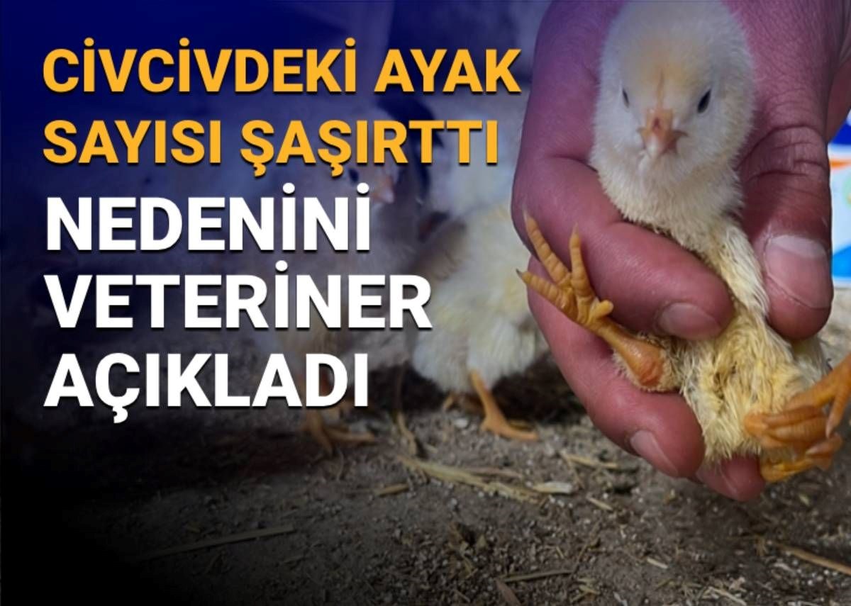 Oi2uVSkN3kO60GlDQONCWQ.jpg