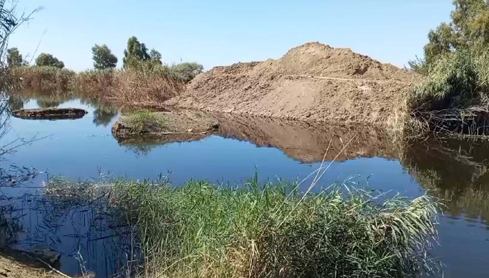 Büyük Menderes Balık Ölümleri