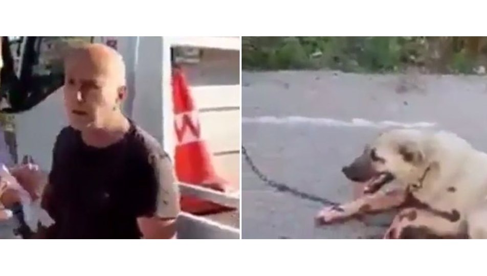 Tavuklara zarar veren köpeğini çekiciye bağlayıp sürükledi