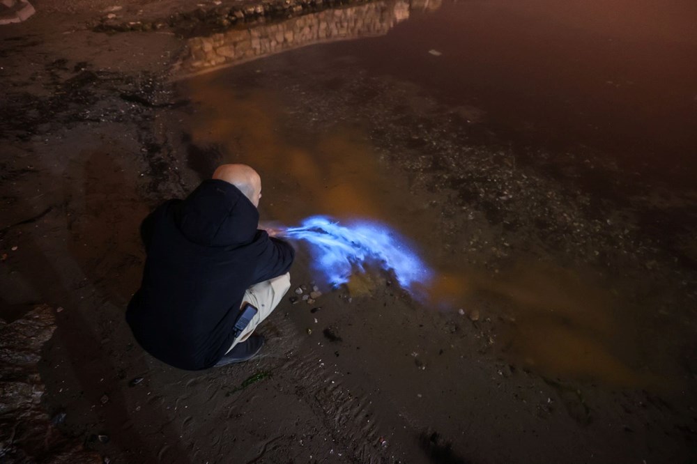 Bursa kıyılarında plankton patlaması: Deniz suyu renk değiştirdi - 7