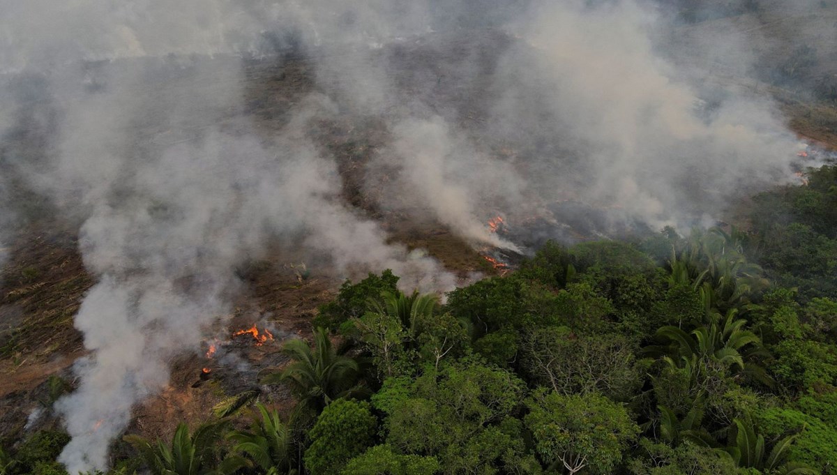  Amazonlardaki kayıp rekor seviyeye ulaştı