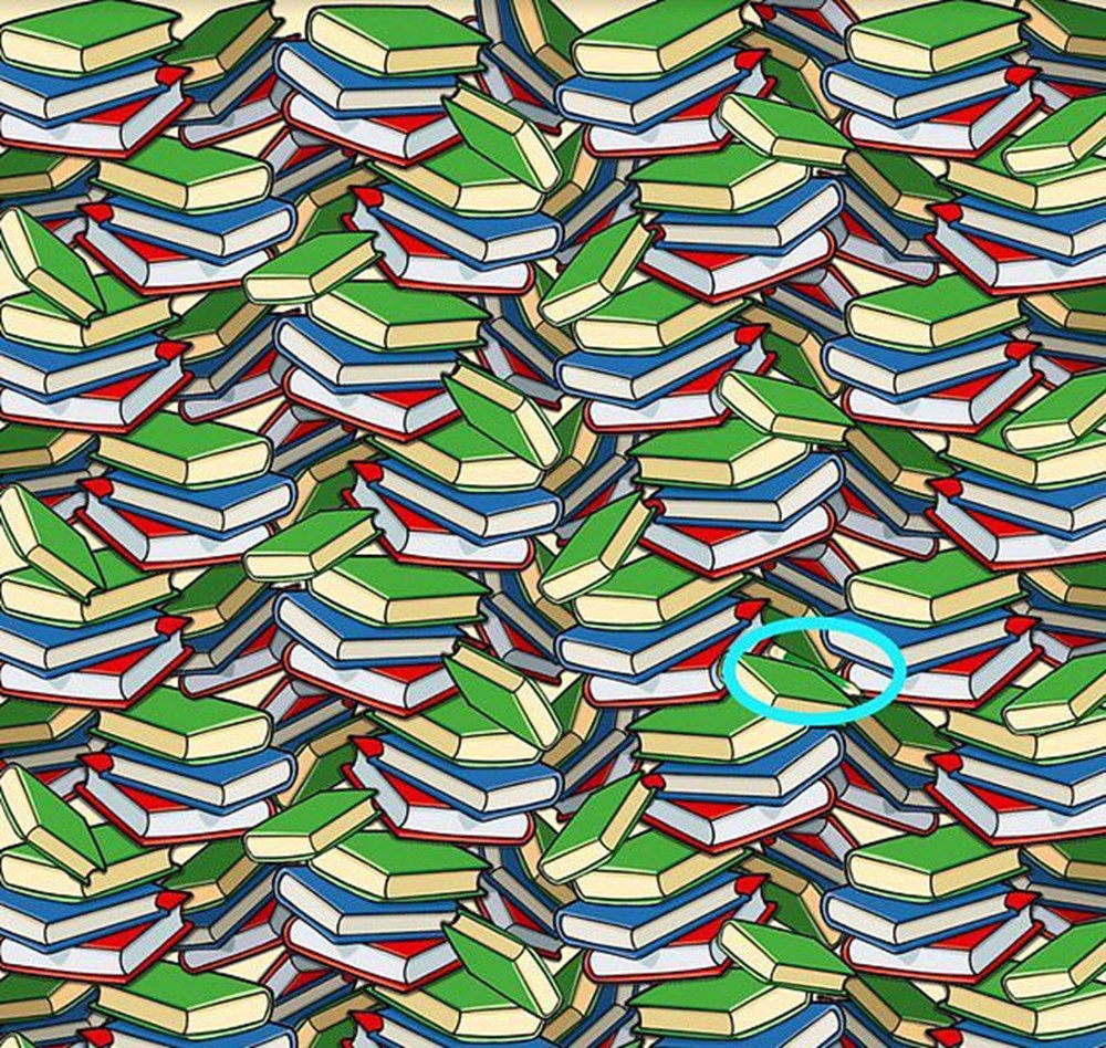 Bu görsel size kim olduğunuzu söylüyor: Resimde ilk önce hangi hayvanı gördünüz? - 109