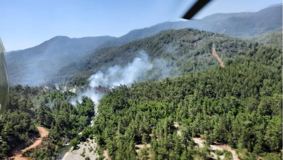Muğla'da orman yangını