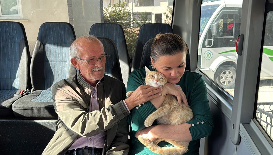 ''Yolcu'' isimli kedi, dolmuş durağının maskotu oldu