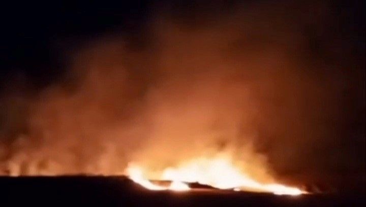 20 dekar buğday ekili alan kül oldu