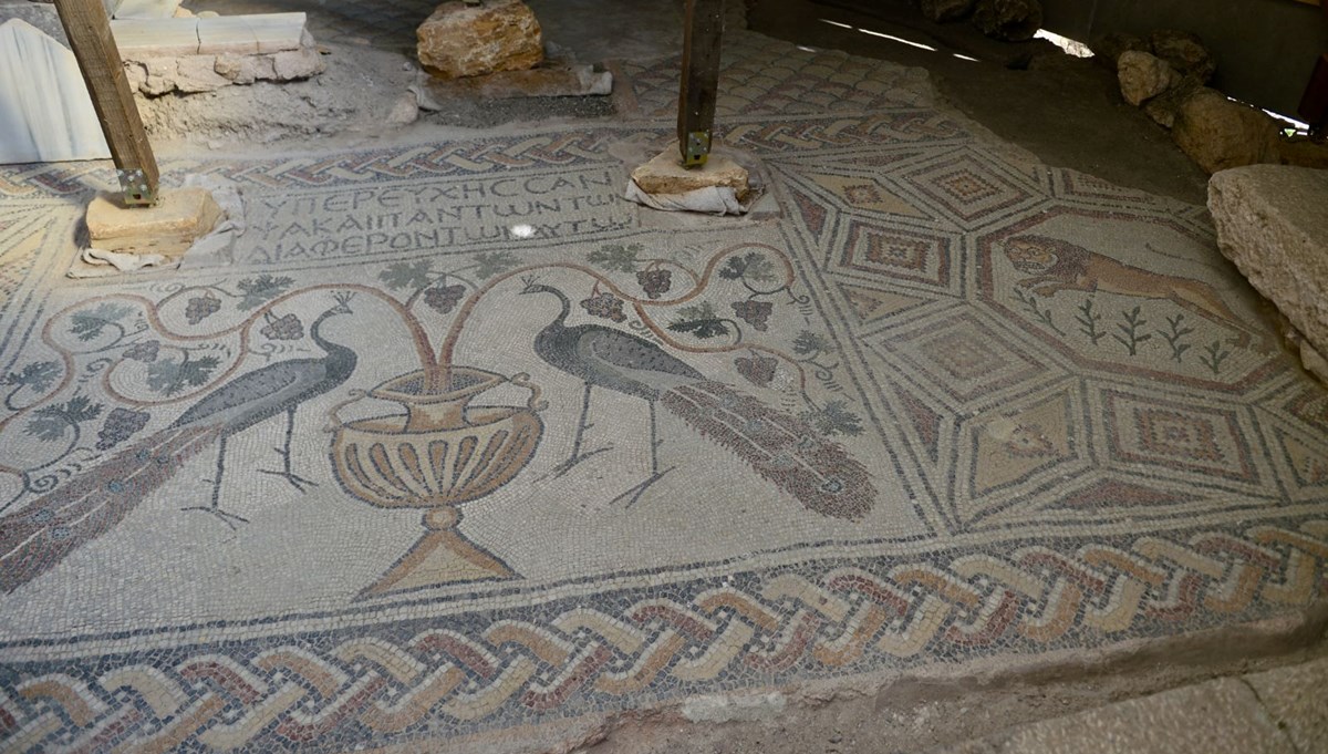 Hadrianaupolis'te üzerinde çeşitli figürlerin bulunduğu yeni mozaikler ortaya çıkarıldı
