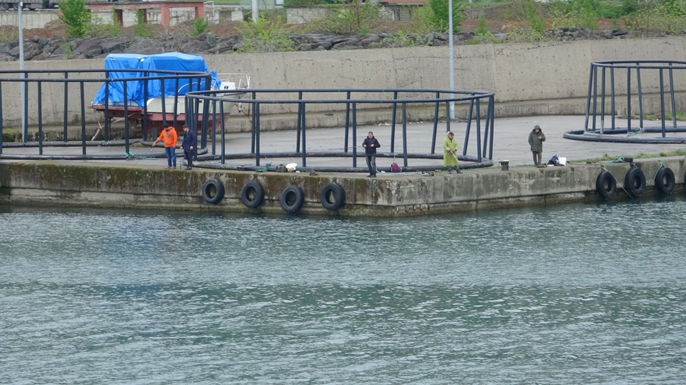 2 Tonluk Kaçak Levrek Akını: Balıkçılar Kıyıları Kuşattı! 74 OqFBdGufW0mUZGP247HHcg