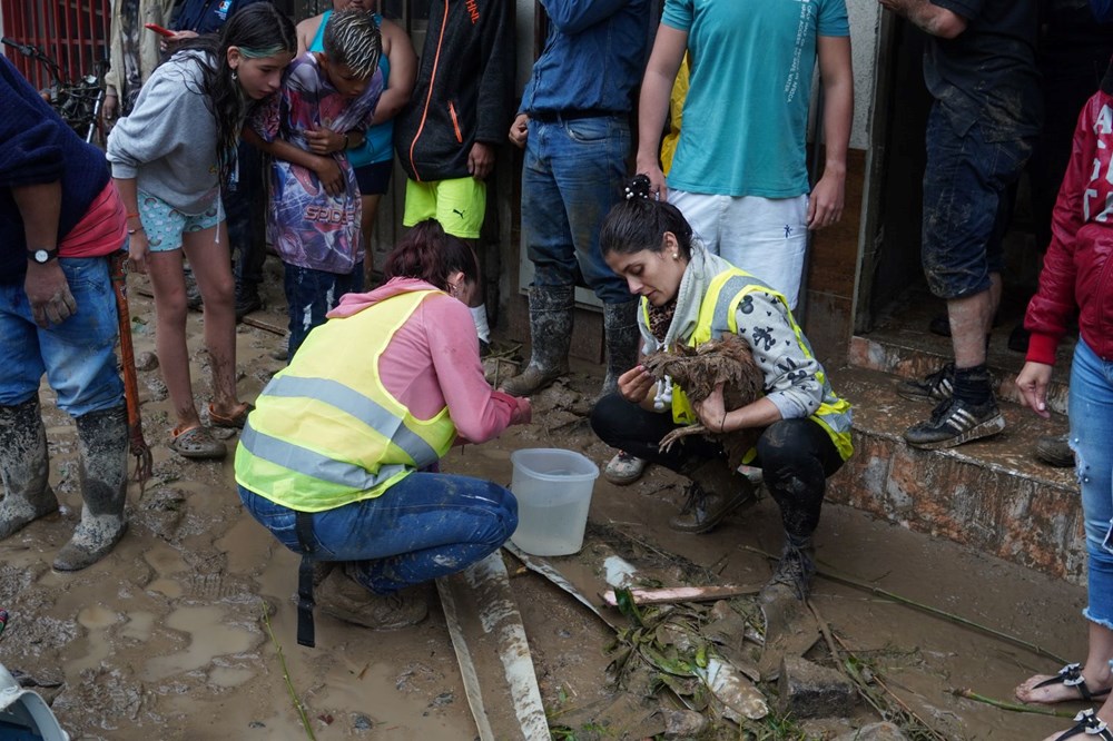 Kolombiya'da toprak kayması sonucu 14 kişi öldü - 31