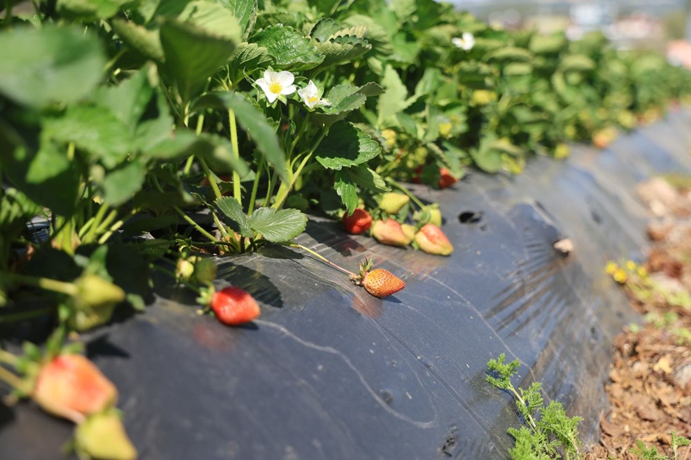 OqjvGXslvkmeC054qsu59A