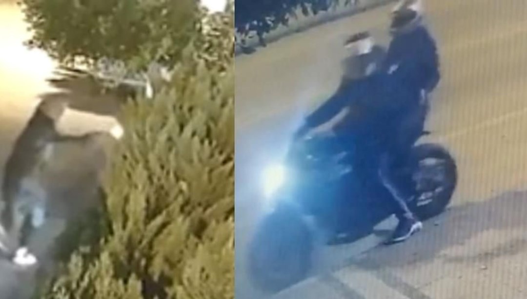 Kaplanlar çetesine operasyon: 33 adres basıldı, 16 kişi tutuklandı