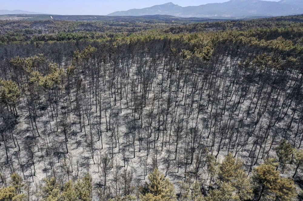 Buca'nın iki katı alan yandı - 1