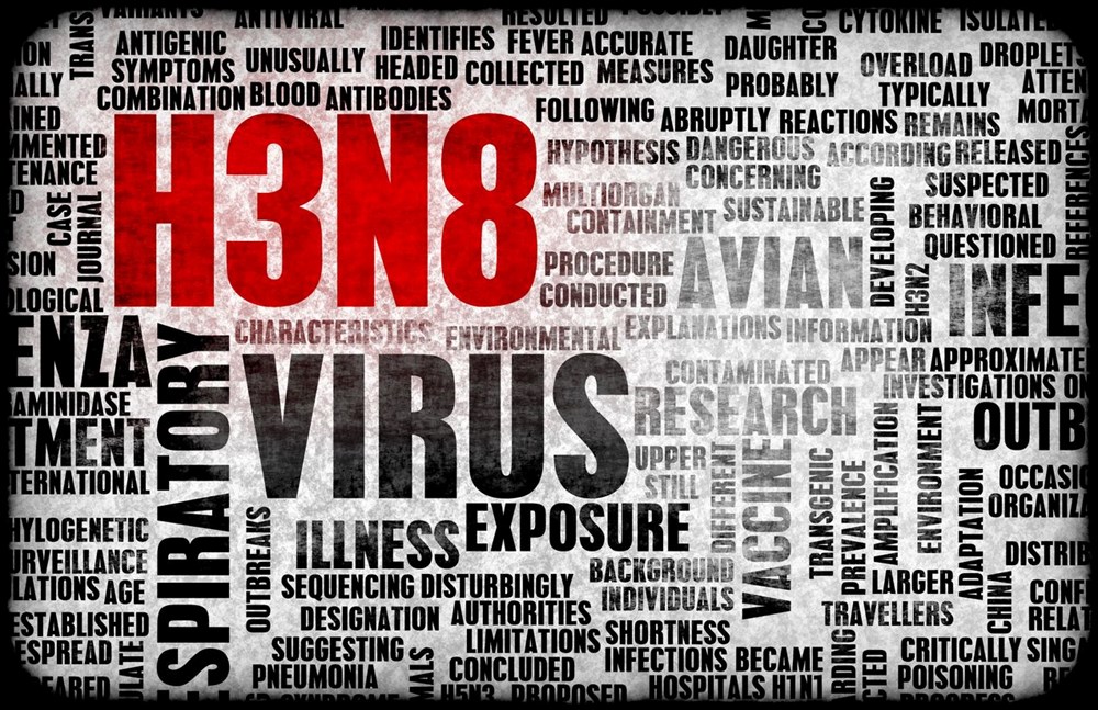 Dünyada kuş gribi kaynaklı ilk insan ölümü gerçekleşti: Kuş gribi pandemiye neden olur mu? - 3