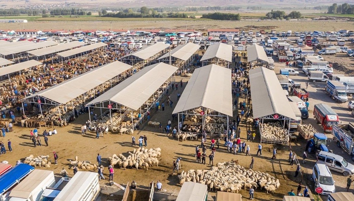 Türkiye'nin en büyük hayvan pazarında şap karantinası