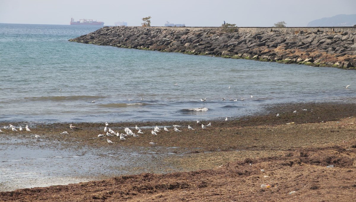 6 gündür devam eden poyraz sona erdi