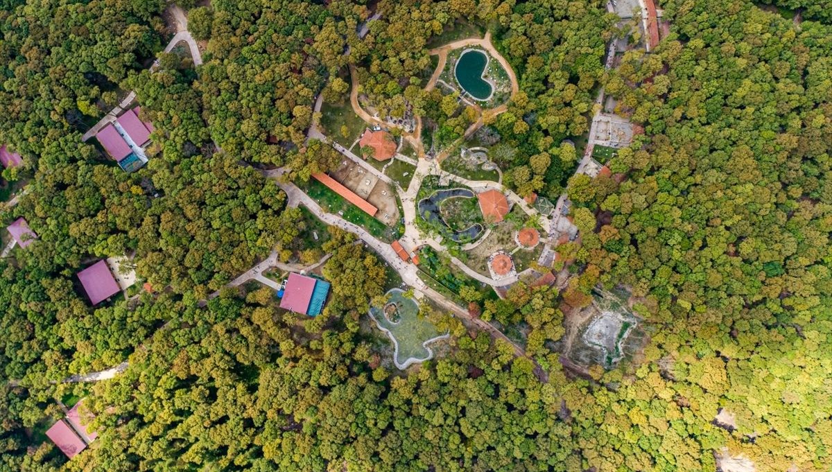 Kocaeli'deki Avrupa'nın en büyük doğal yaşam parkı Ormanya, 5 milyon ziyaretçiyi ağırladı