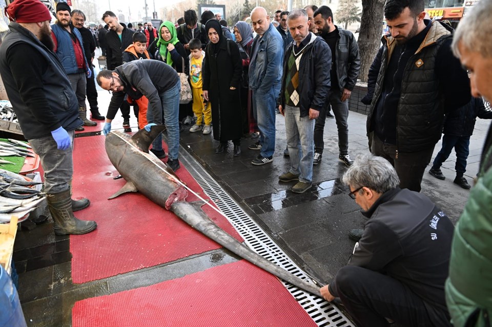 'Camgöz'ü satmak isteyince 33 bin lira ceza yedi - 1