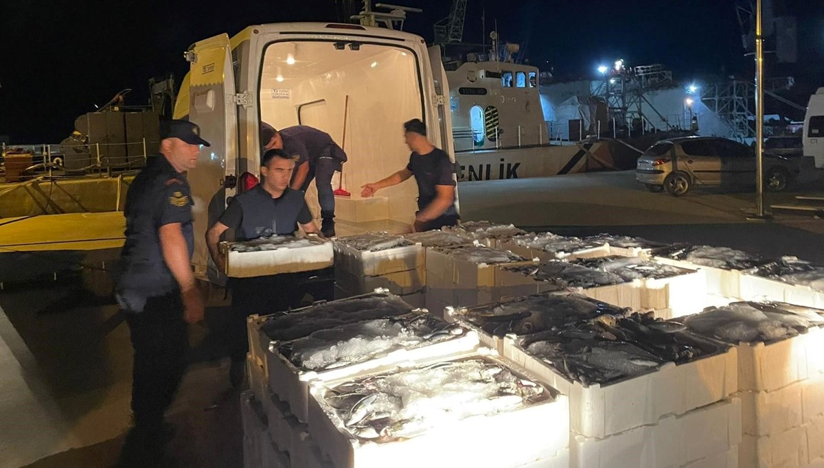 162 kasa küçük balık ele geçirildi 162 kasa küçük balık ele geçirildi