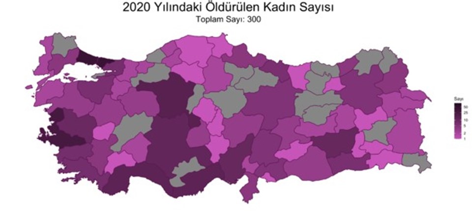 2020 yılında erkekler tarafından 300 kadın öldürüldü - 1