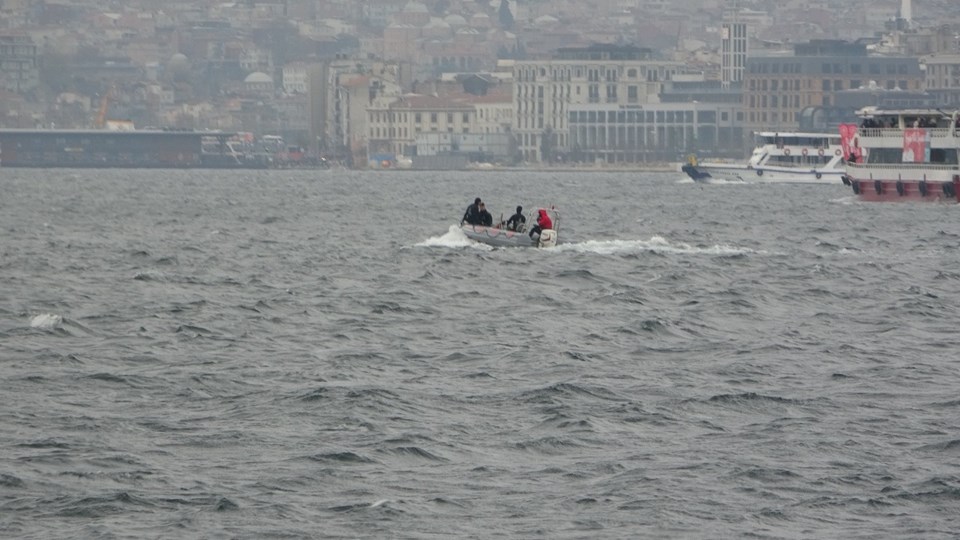 Üsküdar’da iki geminin arasında sıkışan yunus öldü - 1