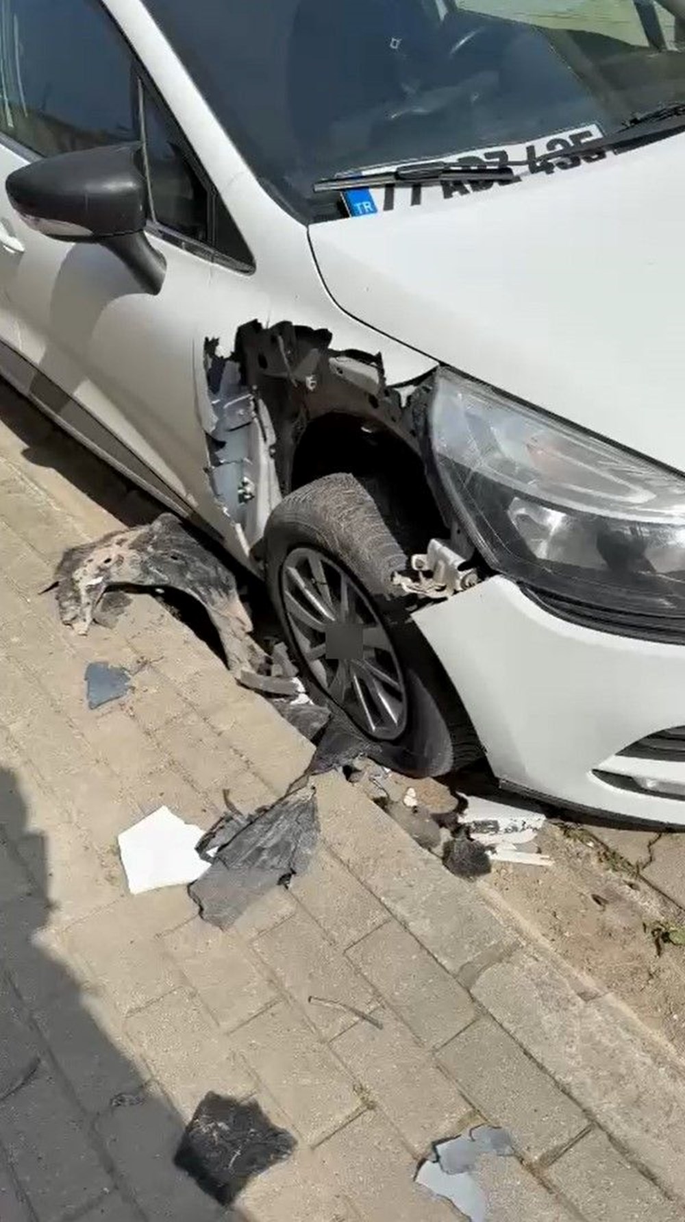 Sokak Köpekleri Araba Canavarına Dönüştü: Mağdur Belediyeye Tazminat Davası Açtı 75 P0ifWnuNfESLYPEgbVtsDQ