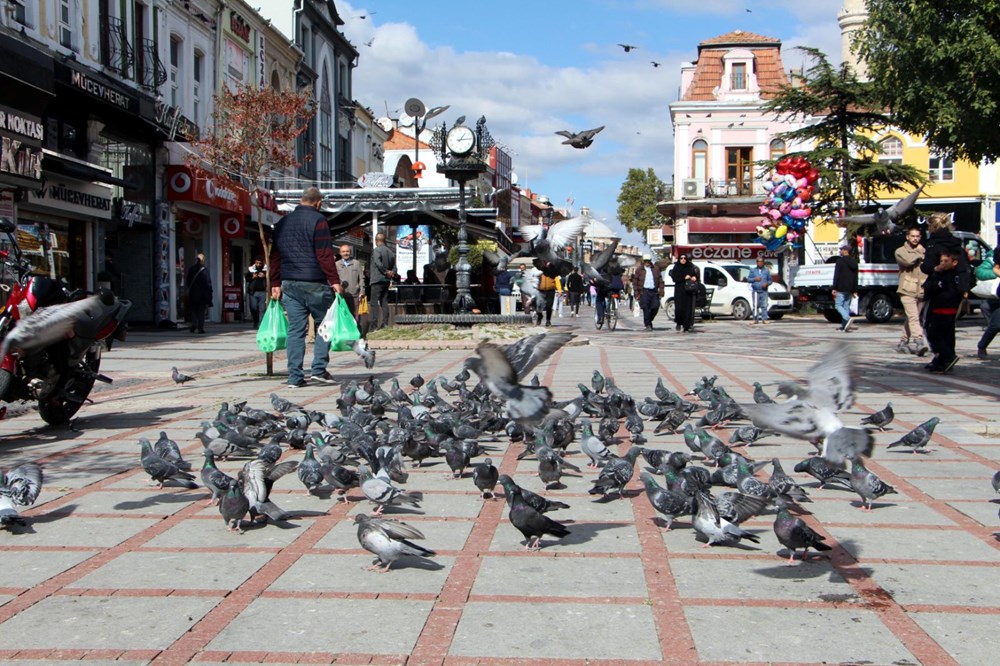 Edirne'de 'katil martı' paniği - 14