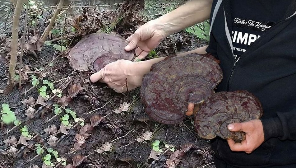 https www ntv com tr turkiye corona hastasi karantinadan kacti otogarda yakalandi jvp7mkffiusygy3d18blyq