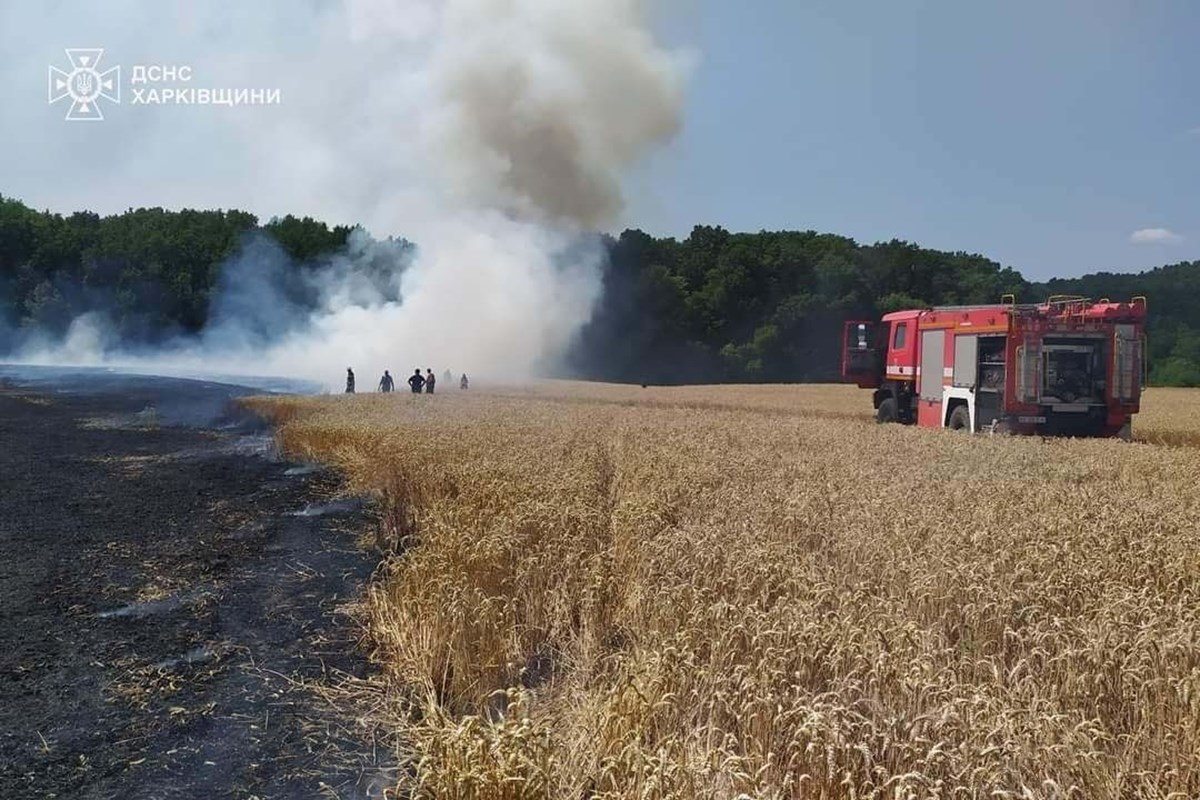 Ukrayna’da 24 saatte 343 yangın çıktı