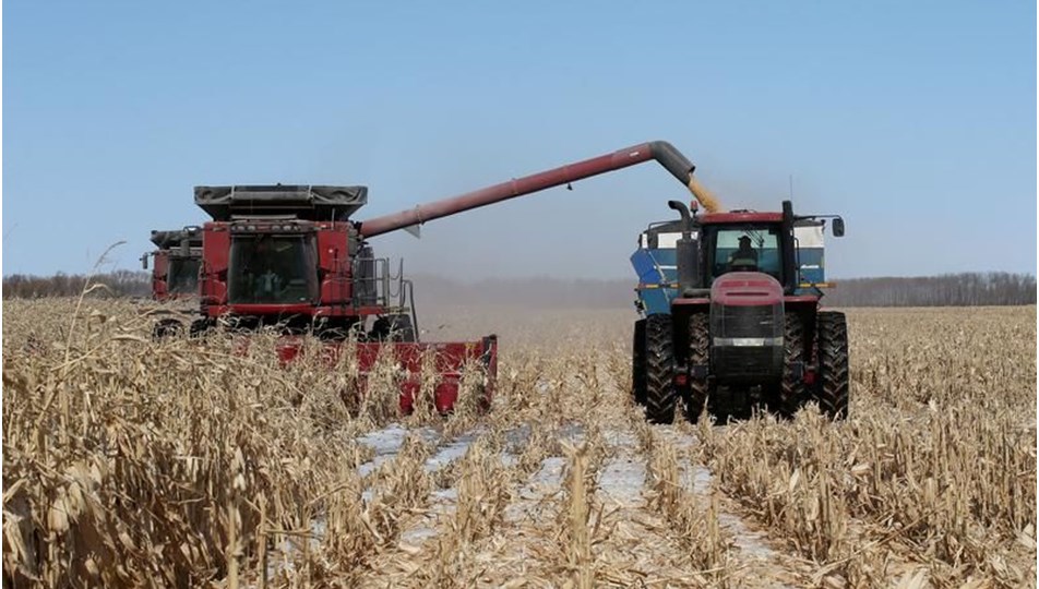 Kanada'da son 20 yılın en kurak dönemi: Tarımsal afet yaşanıyor