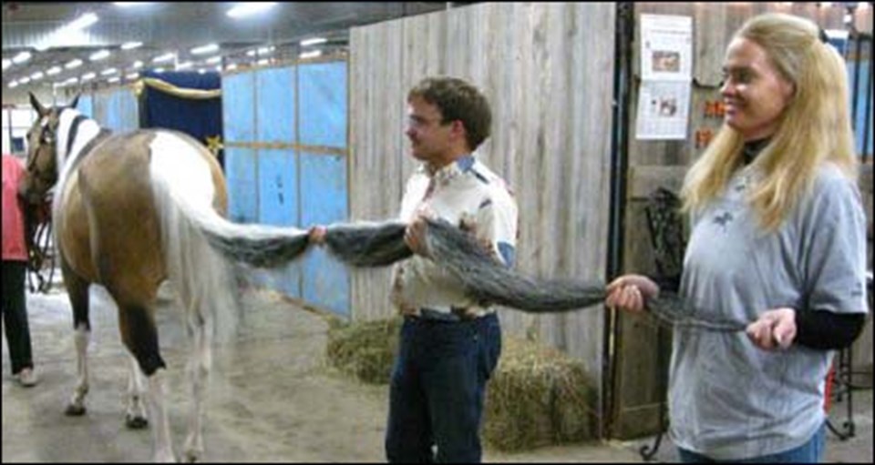 Dünyanın en uzun kuyruklu atı - 1