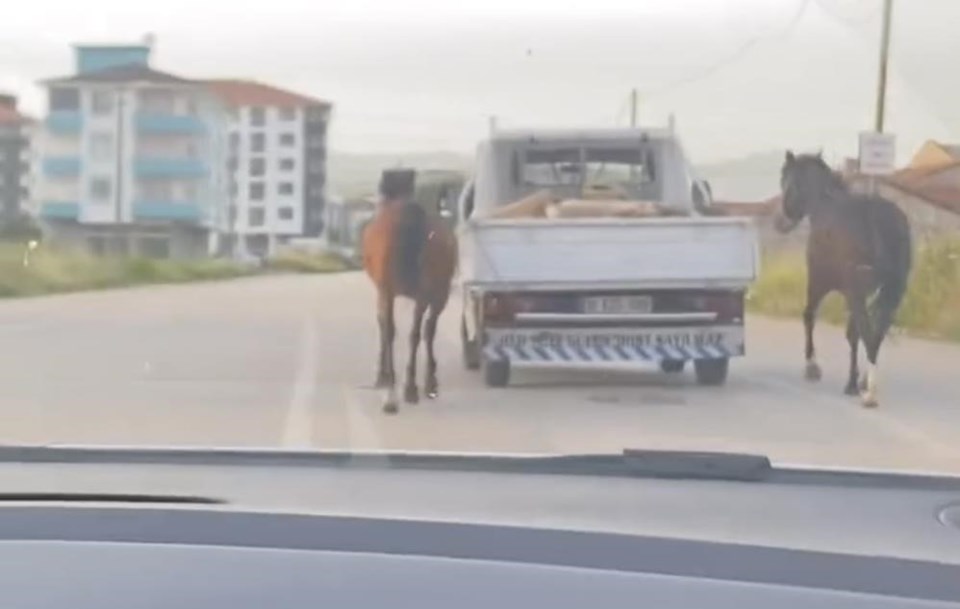 Bursa'da tepki çeken görüntü: Atları aracın arkasına bağlayıp koşturdu - 1