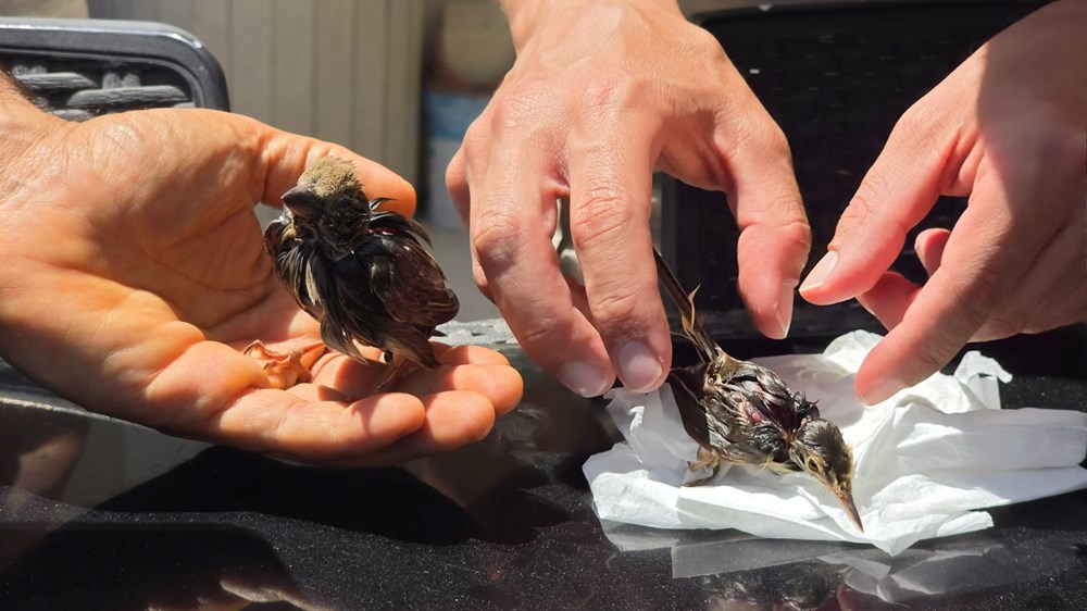 Yapıştırıcıyla vefat tuzağı: ''Bu zalimliktir'' 72 P5torTnnGUy2frewKZG8Uw