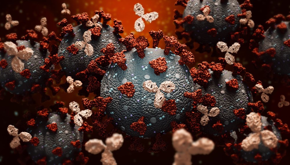 Oxford Üniversitesi: Covid-19 enfeksiyonu, corona virüse karşı uzun süreli koruma sağlamıyor - 2