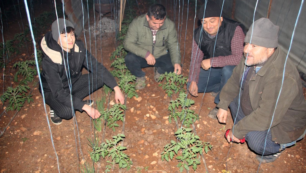 Mersin'de çiftçiler zirai don nöbetinde
