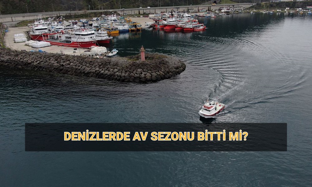 2024-2025 Balık Avı Sezonu: Yasaklar Başladı mı? Hangi Balık Ne Zaman Yasağa Giriyor? 72 PBohszKDDkWDXiZng1gV4w