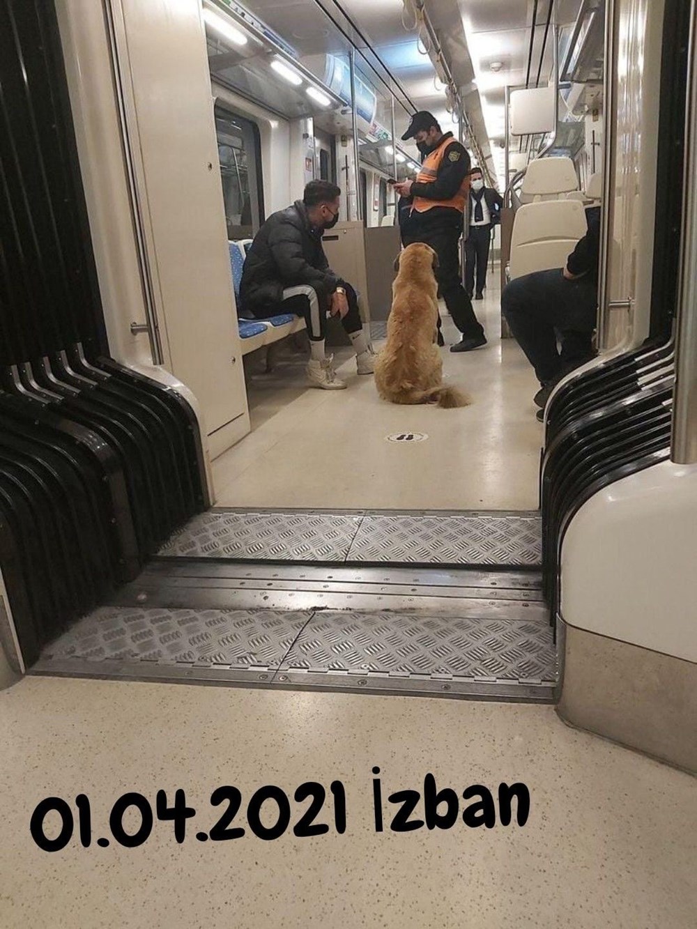 İzmir’i toplu ulaşımla gezen köpek Sam bulundu - 3