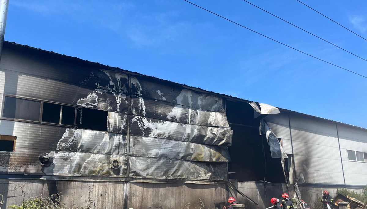 Sakarya'da kontrplak üretim tesisinde yangın