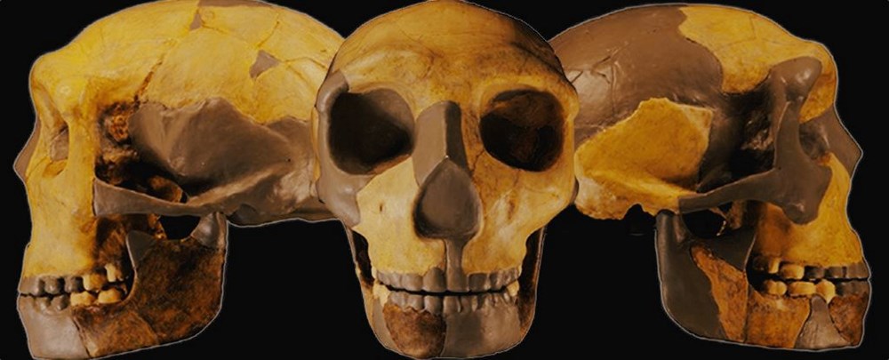 300 bin yıllık insan kalıntıları bulundu! Görülmemiş eski insan türü mü? - 2