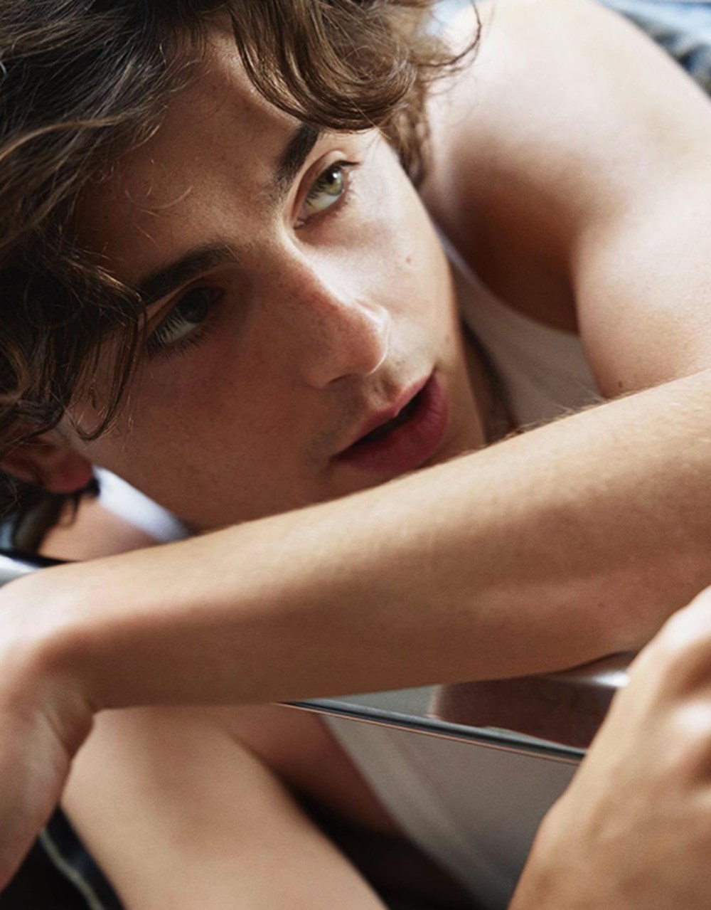 Fransız moda devinin yeni yüzü: Timothee Chalamet - 6
