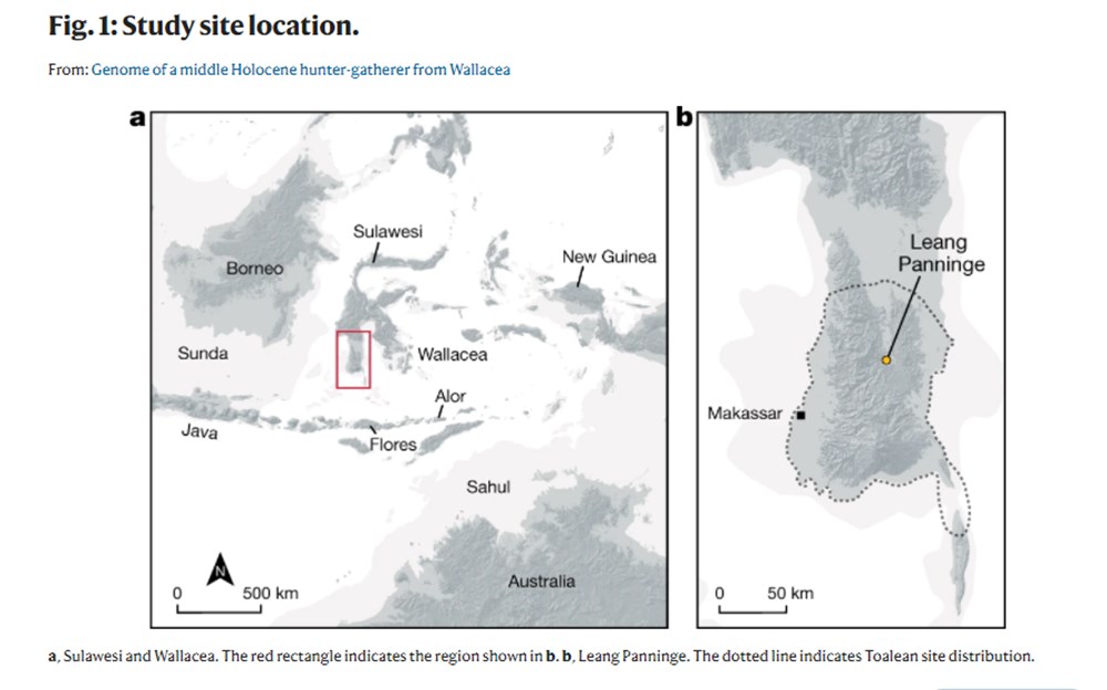 Endonezya'da 7 bin 200 yıl önce ölen kadının DNA örneği keşfedildi - 2