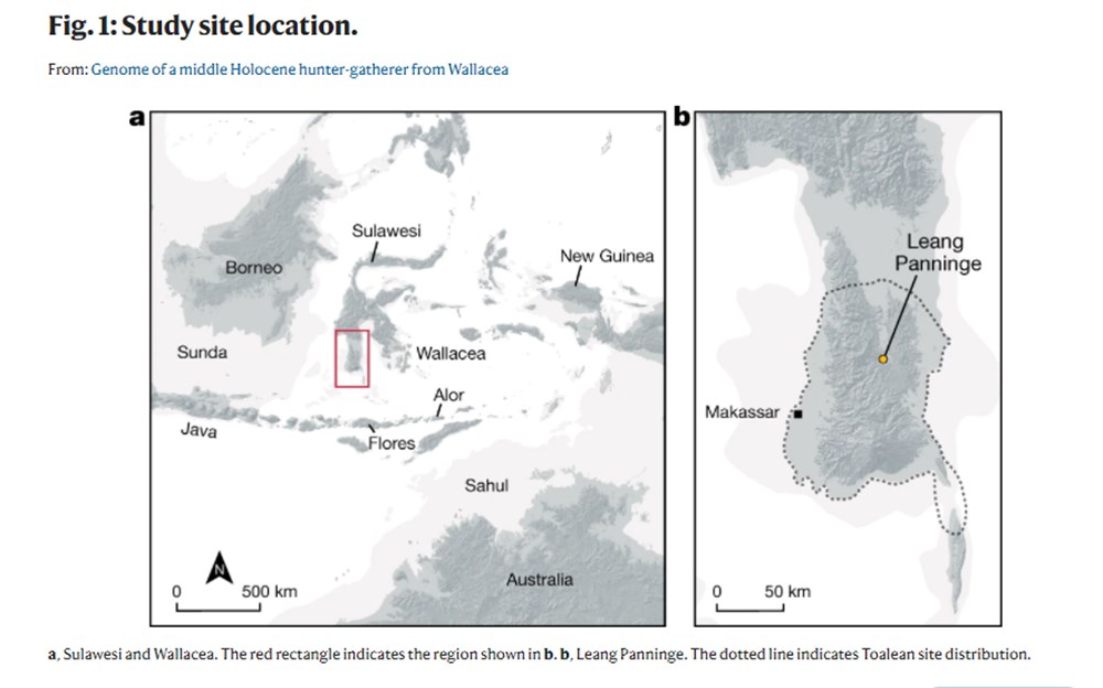 DNA sample of woman who died 7,200 years ago discovered in Indonesia - 2