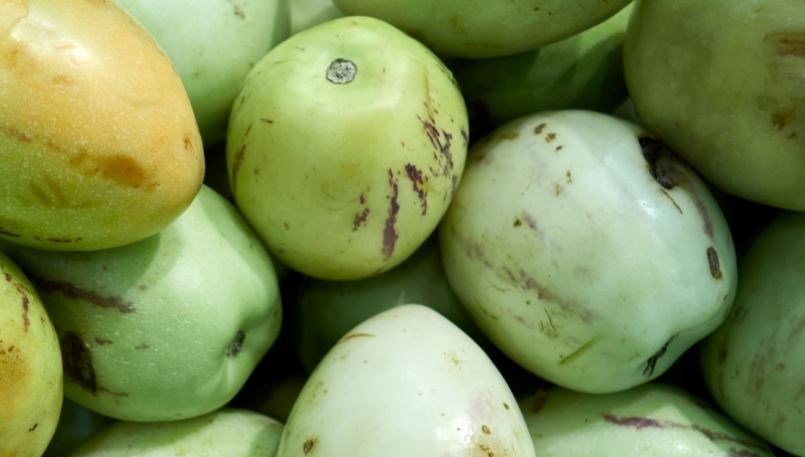 Kan basıncını düzenleyip tansiyonu dengeliyor! Doğal vitamin takviyesi: Erzincan ve Antalya'da da yetişiyor